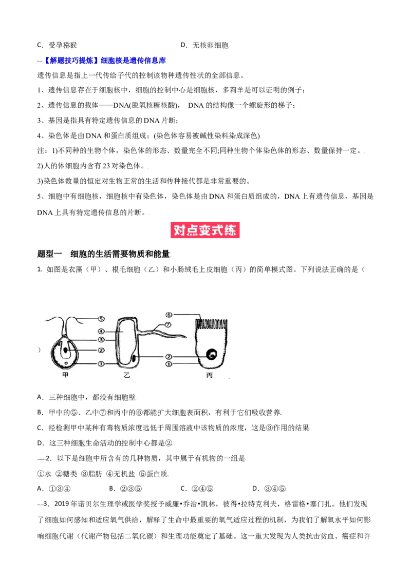 必考点09细胞的生活-（人教版）（原卷版）_初中全科电子版试卷练习试题_生物_生物人教版7上练习&mdash;24新版已更新_人教生物7年级上专项练习28份