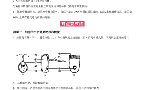 必考点09细胞的生活-（人教版）（原卷版）_初中全科电子版试卷练习试题_生物_生物人教版7上练习&mdash;24新版已更新_人教生物7年级上专项练习28份