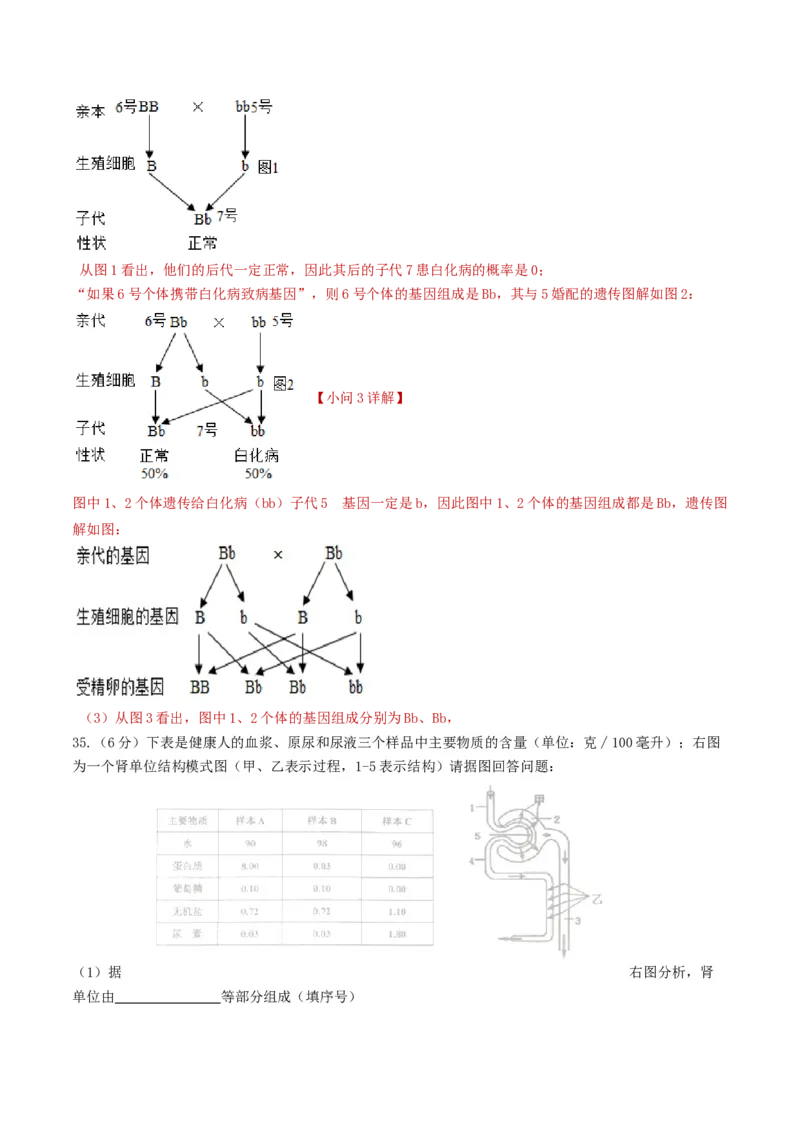 生物（新疆卷）（全解全析）_初中全科电子版试卷练习试题_生物_2024中考模拟题生物(1)_三模（37套）_生物（新疆卷）