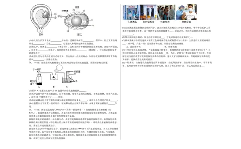 生物（海南卷）（考试版A3）_初中全科电子版试卷练习试题_生物_2024中考模拟题生物(1)_三模（37套）_生物（海南卷）