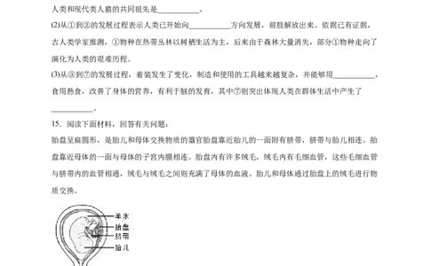第一单元人的由来（提分小卷）-单元测试（人教版）（原卷版）_初中全科电子版试卷练习试题_生物_生物人教版7下练习_人教生物7年级下单元试卷33份