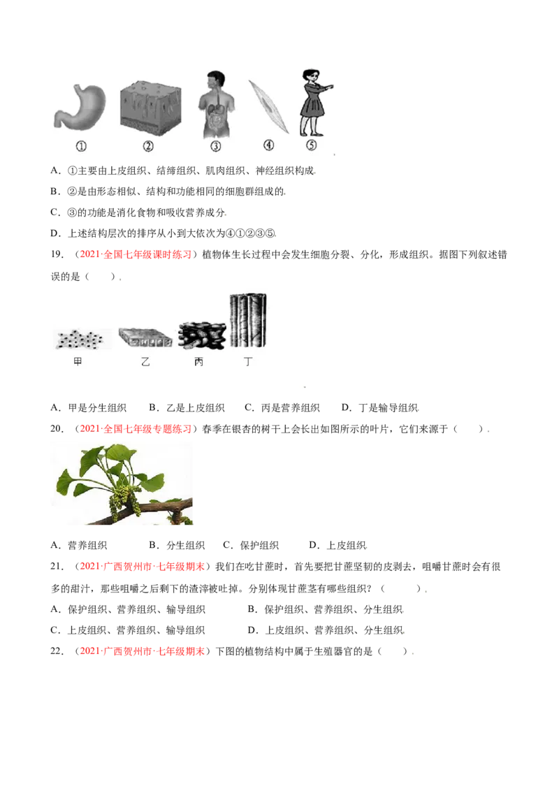第02单元第02章细胞怎样构成生物体单元测试（B卷&middot;提升能力）（原卷版）_初中全科电子版试卷练习试题_生物_生物人教版7上练习&mdash;24新版已更新_人教生物7年级上单元试卷36份