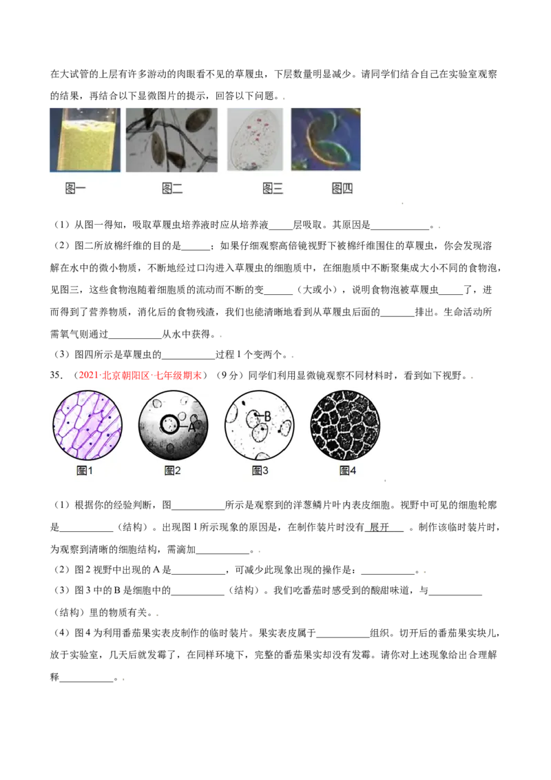 第02单元第02章细胞怎样构成生物体单元测试（B卷&middot;提升能力）（原卷版）_初中全科电子版试卷练习试题_生物_生物人教版7上练习&mdash;24新版已更新_人教生物7年级上单元试卷36份