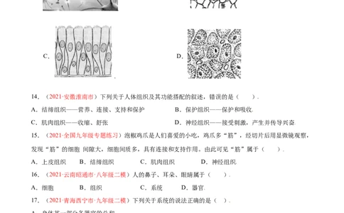 第02单元第02章细胞怎样构成生物体单元测试（B卷&middot;提升能力）（原卷版）_初中全科电子版试卷练习试题_生物_生物人教版7上练习&mdash;24新版已更新_人教生物7年级上单元试卷36份