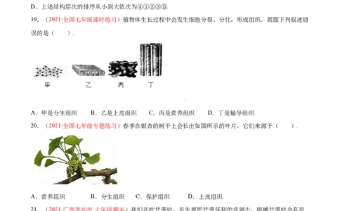 第02单元第02章细胞怎样构成生物体单元测试（B卷&middot;提升能力）（原卷版）_初中全科电子版试卷练习试题_生物_生物人教版7上练习&mdash;24新版已更新_人教生物7年级上单元试卷36份