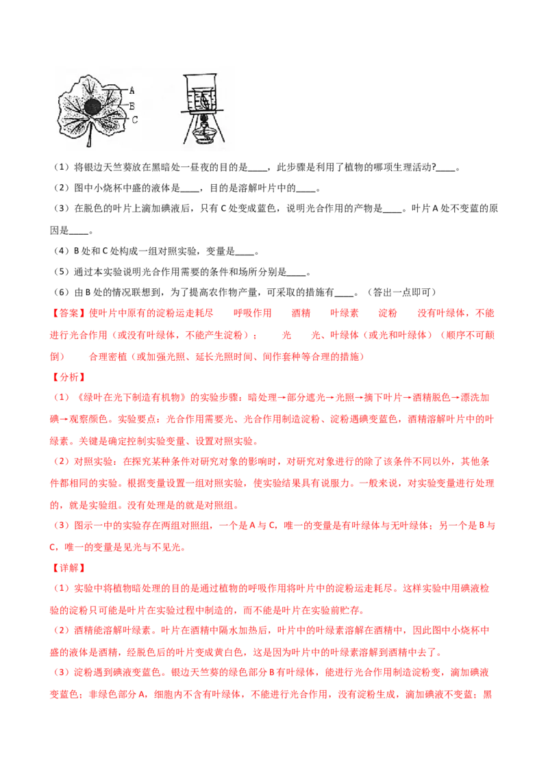 第03单元第03章&mdash;06章单元测试（A卷&middot;夯实基础）（解析版）_初中全科电子版试卷练习试题_生物_生物人教版7上练习&mdash;24新版已更新_人教生物7年级上单元试卷36份