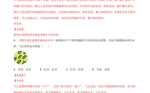 第03单元第03章&mdash;06章单元测试（A卷&middot;夯实基础）（解析版）_初中全科电子版试卷练习试题_生物_生物人教版7上练习&mdash;24新版已更新_人教生物7年级上单元试卷36份