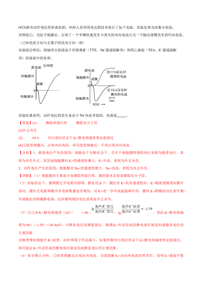 信息必刷卷02（北京专用）（解析版）_2025年新高考资料_2025考前信息卷_2025年高考生物考前信息必刷卷（北京专用）34427555