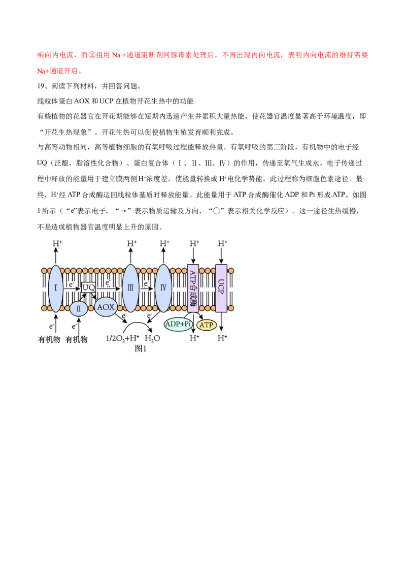 信息必刷卷02（北京专用）（解析版）_2025年新高考资料_2025考前信息卷_2025年高考生物考前信息必刷卷（北京专用）34427555