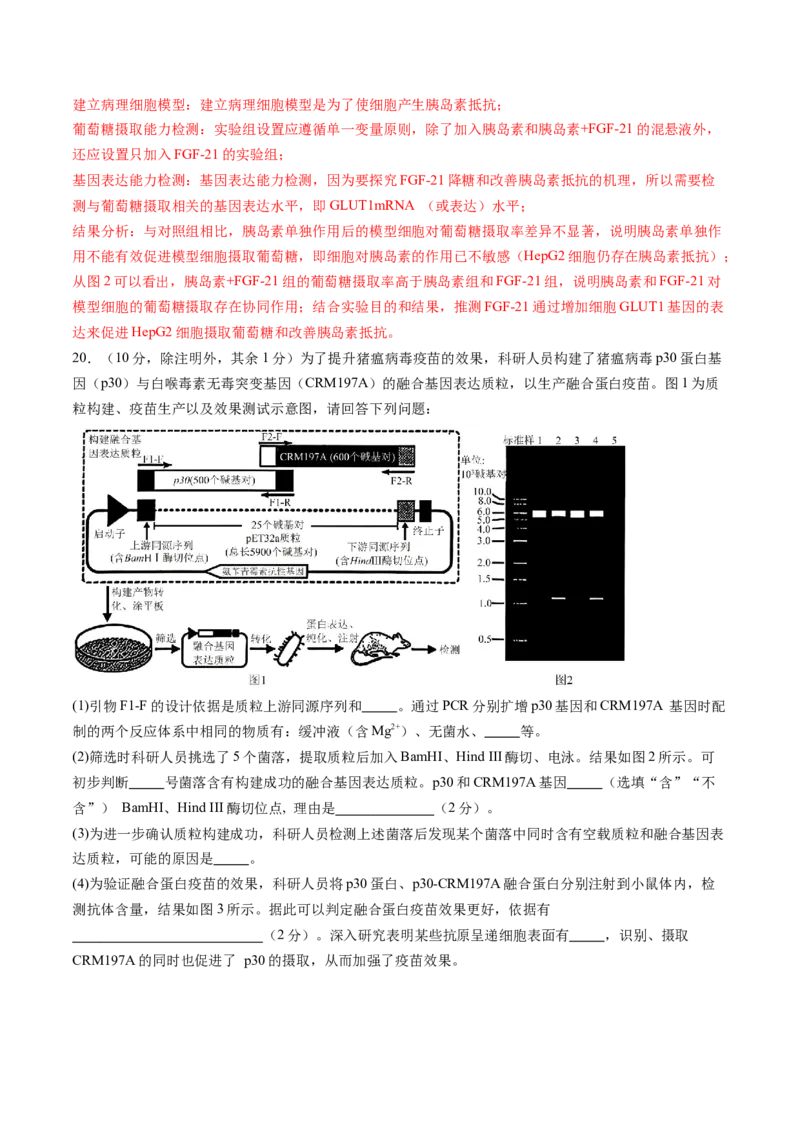 信息必刷卷01（安徽专用）解析版_2025年新高考资料_2025考前信息卷_2025年高考生物考前信息必刷卷（安徽专用）3441065
