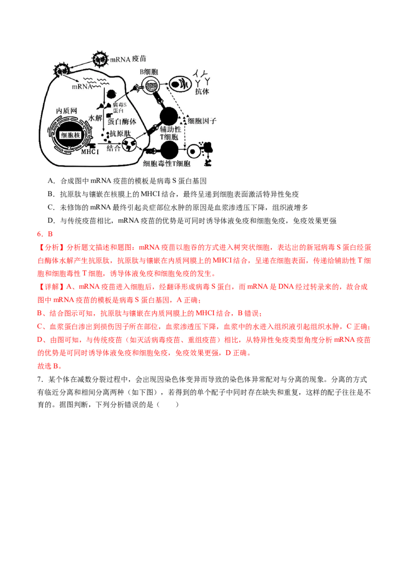 信息必刷卷01（安徽专用）解析版_2025年新高考资料_2025考前信息卷_2025年高考生物考前信息必刷卷（安徽专用）3441065