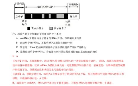 信息必刷卷01（安徽专用）解析版_2025年新高考资料_2025考前信息卷_2025年高考生物考前信息必刷卷（安徽专用）3441065