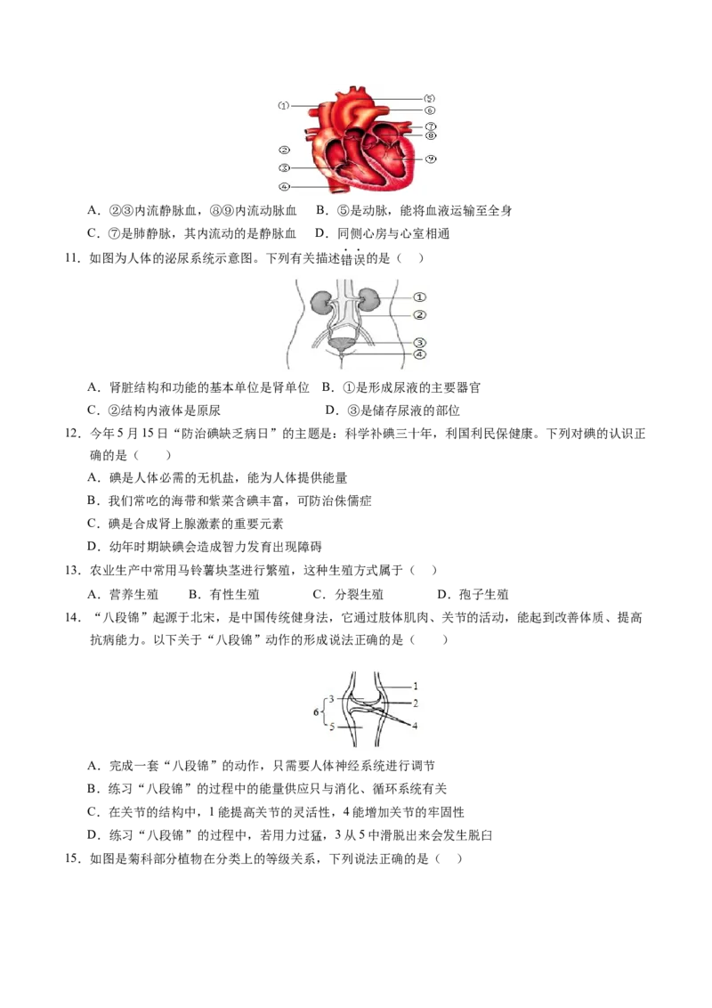 生物（泰州卷）（考试版A4）_初中全科电子版试卷练习试题_生物_2024中考模拟题生物(1)_二模_生物（泰州卷）-：2024年中考第二次模拟考试