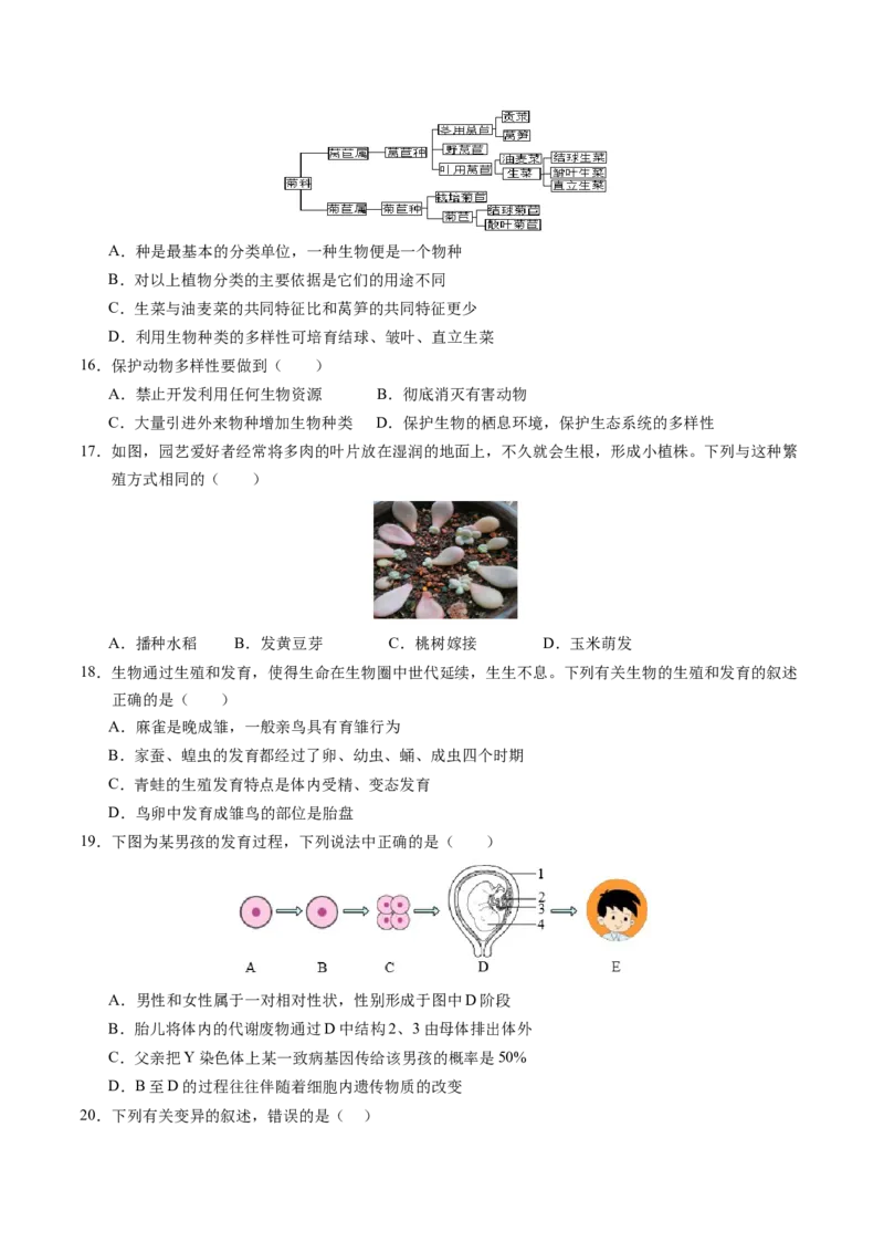 生物（泰州卷）（考试版A4）_初中全科电子版试卷练习试题_生物_2024中考模拟题生物(1)_二模_生物（泰州卷）-：2024年中考第二次模拟考试