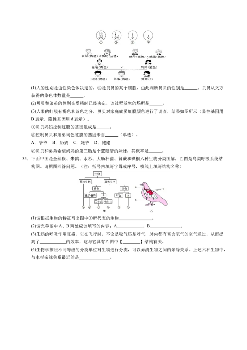 生物（泰州卷）（考试版A4）_初中全科电子版试卷练习试题_生物_2024中考模拟题生物(1)_二模_生物（泰州卷）-：2024年中考第二次模拟考试