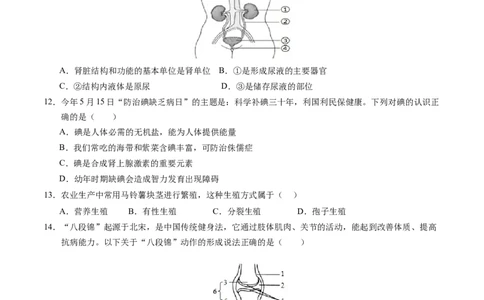 生物（泰州卷）（考试版A4）_初中全科电子版试卷练习试题_生物_2024中考模拟题生物(1)_二模_生物（泰州卷）-：2024年中考第二次模拟考试