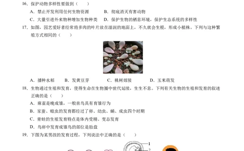 生物（泰州卷）（考试版A4）_初中全科电子版试卷练习试题_生物_2024中考模拟题生物(1)_二模_生物（泰州卷）-：2024年中考第二次模拟考试