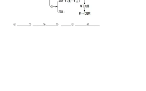 八年级下学期第一次质量检测生物试题（原卷版）_初中全科电子版试卷练习试题_生物_生物8下练习_人教生物8年级下月考试卷04份_月考试卷（第二套）