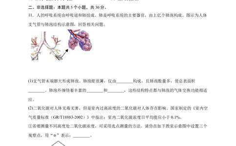 第三单元人体的呼吸（提分小卷）-单元测试（人教版）（原卷版）_初中全科电子版试卷练习试题_生物_生物人教版7下练习_人教生物7年级下单元试卷33份