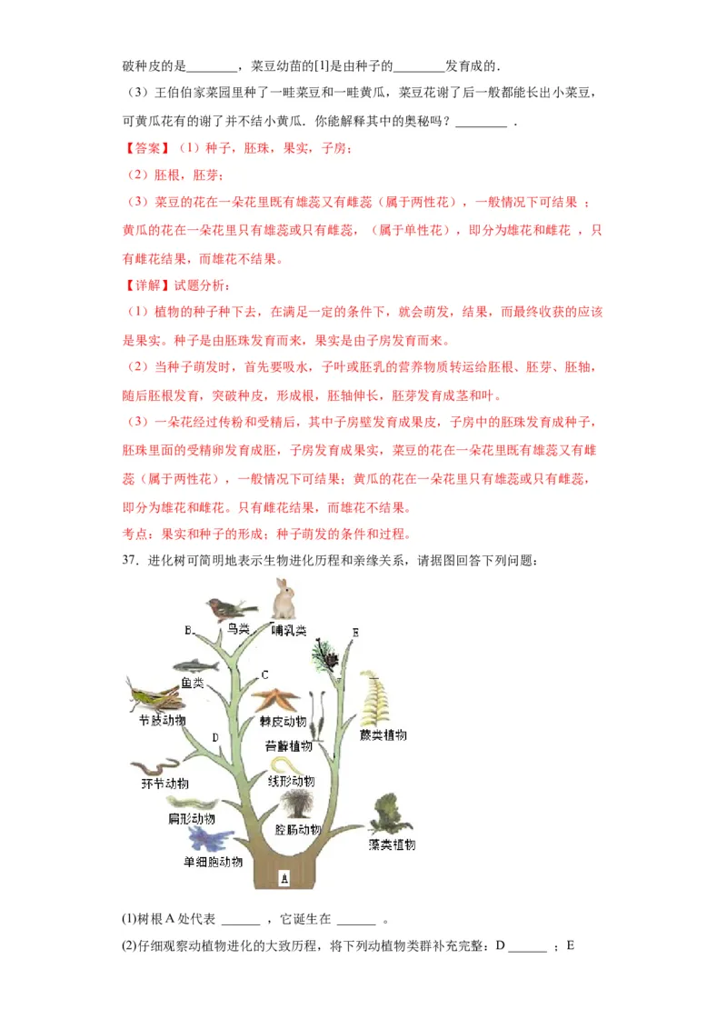 卷02-八年级生物下学期期末综合测试卷（人教版）（解析版）_new_初中全科电子版试卷练习试题_生物_生物8下练习_人教生物8年级下期末试卷12份