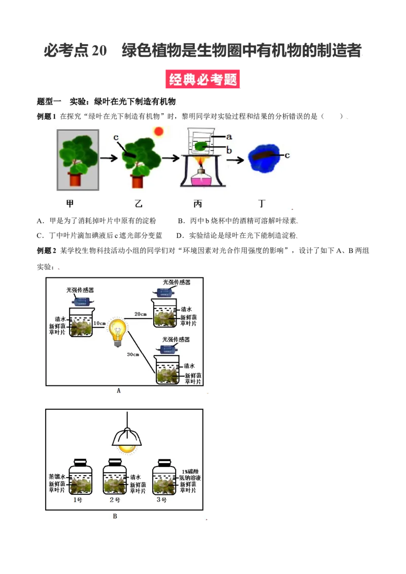 必考点20绿色植物是生物圈中有机物的制造者-（人教版）（原卷版）_初中全科电子版试卷练习试题_生物_生物人教版7上练习&mdash;24新版已更新_人教生物7年级上专项练习28份
