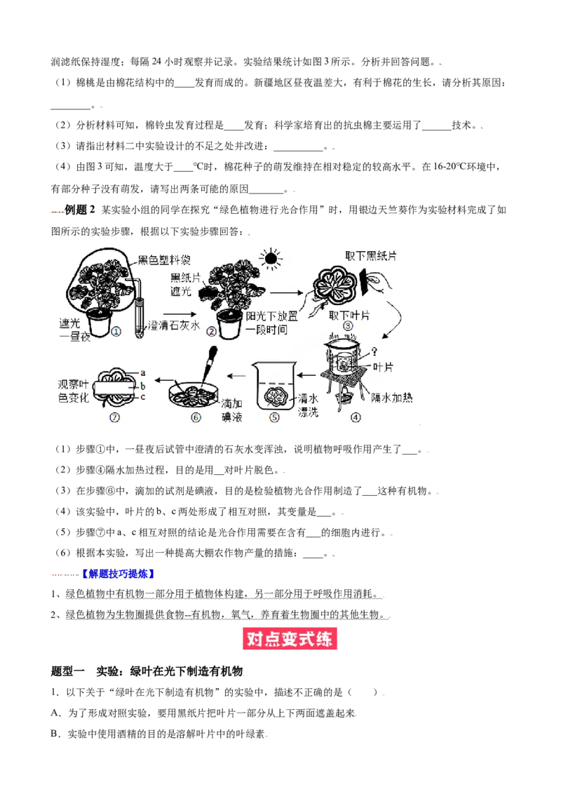 必考点20绿色植物是生物圈中有机物的制造者-（人教版）（原卷版）_初中全科电子版试卷练习试题_生物_生物人教版7上练习&mdash;24新版已更新_人教生物7年级上专项练习28份