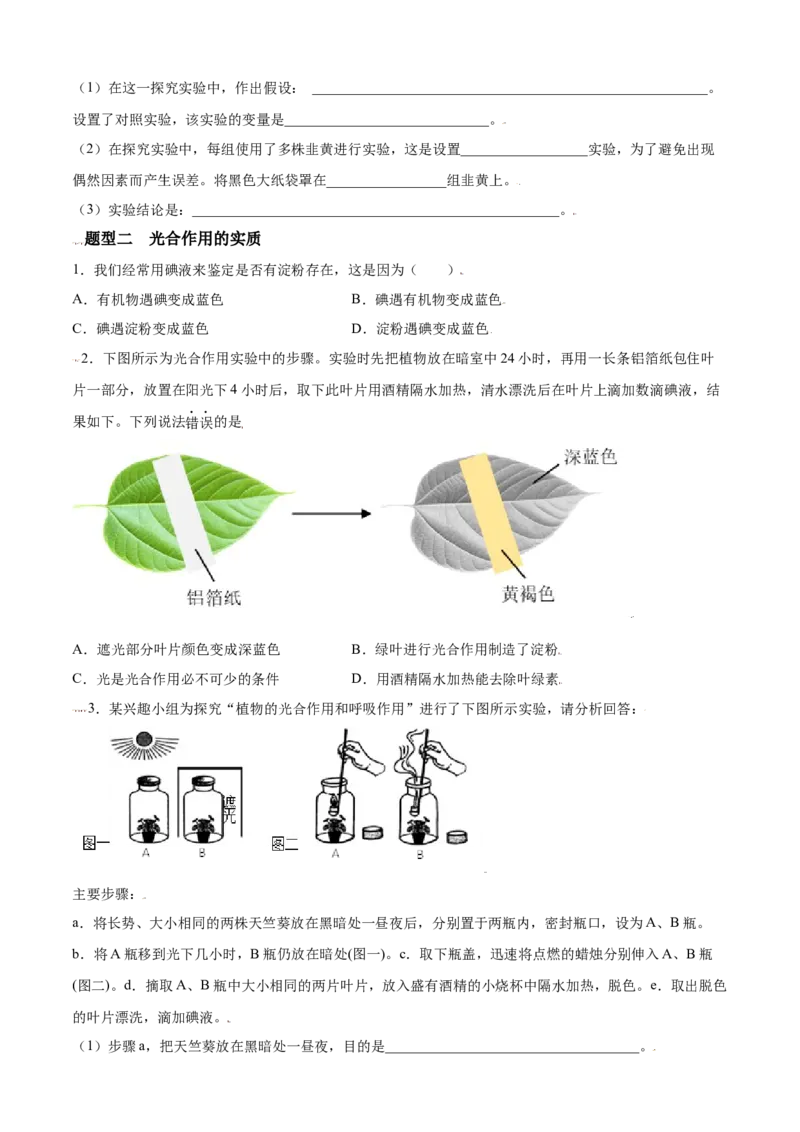 必考点20绿色植物是生物圈中有机物的制造者-（人教版）（原卷版）_初中全科电子版试卷练习试题_生物_生物人教版7上练习&mdash;24新版已更新_人教生物7年级上专项练习28份