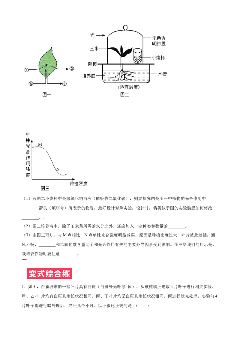 必考点20绿色植物是生物圈中有机物的制造者-（人教版）（原卷版）_初中全科电子版试卷练习试题_生物_生物人教版7上练习&mdash;24新版已更新_人教生物7年级上专项练习28份