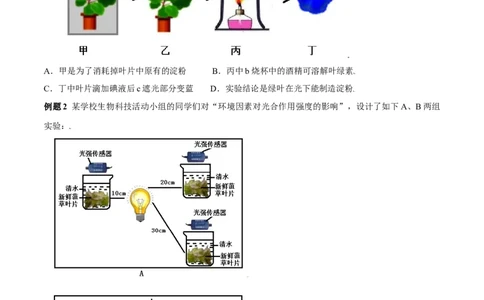 必考点20绿色植物是生物圈中有机物的制造者-（人教版）（原卷版）_初中全科电子版试卷练习试题_生物_生物人教版7上练习&mdash;24新版已更新_人教生物7年级上专项练习28份