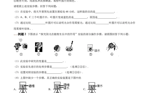 必考点20绿色植物是生物圈中有机物的制造者-（人教版）（原卷版）_初中全科电子版试卷练习试题_生物_生物人教版7上练习&mdash;24新版已更新_人教生物7年级上专项练习28份