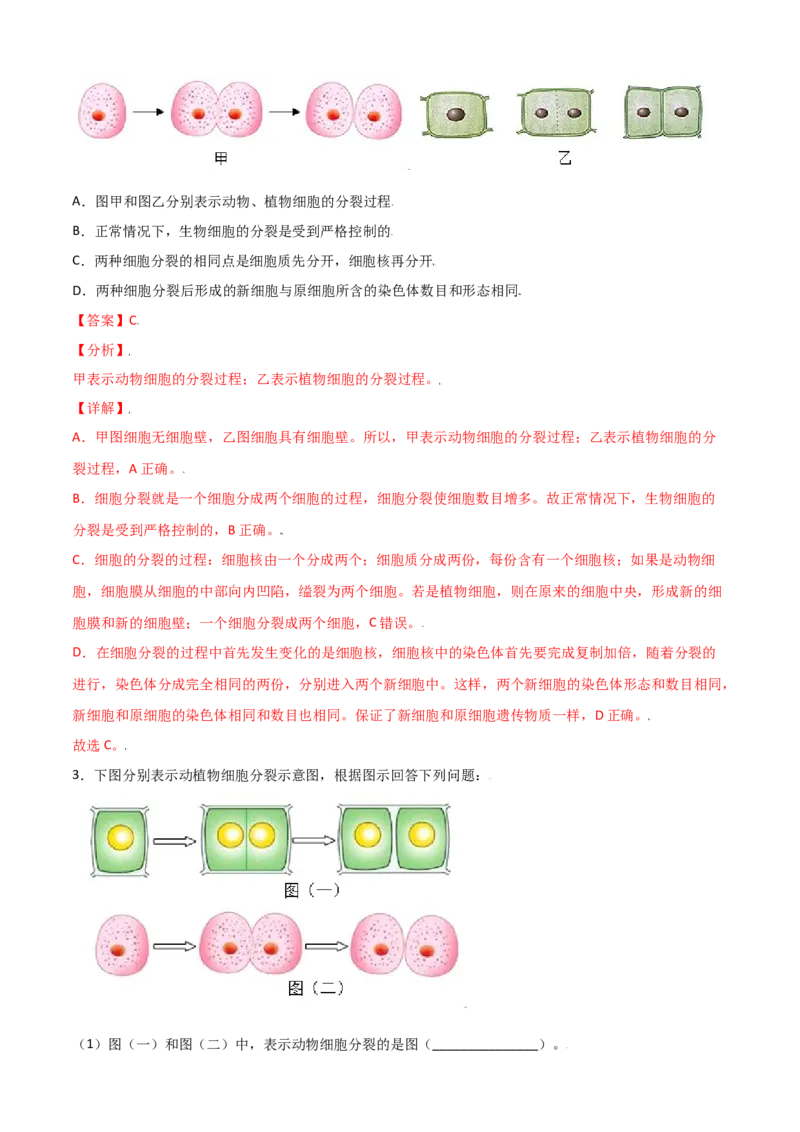 必考点10细胞通过分裂产生新细胞-（人教版）（解析版）_初中全科电子版试卷练习试题_生物_生物人教版7上练习&mdash;24新版已更新_人教生物7年级上专项练习28份