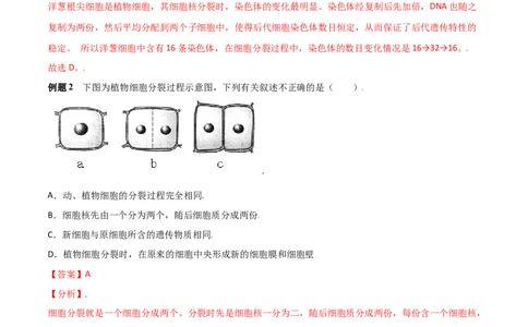 必考点10细胞通过分裂产生新细胞-（人教版）（解析版）_初中全科电子版试卷练习试题_生物_生物人教版7上练习&mdash;24新版已更新_人教生物7年级上专项练习28份
