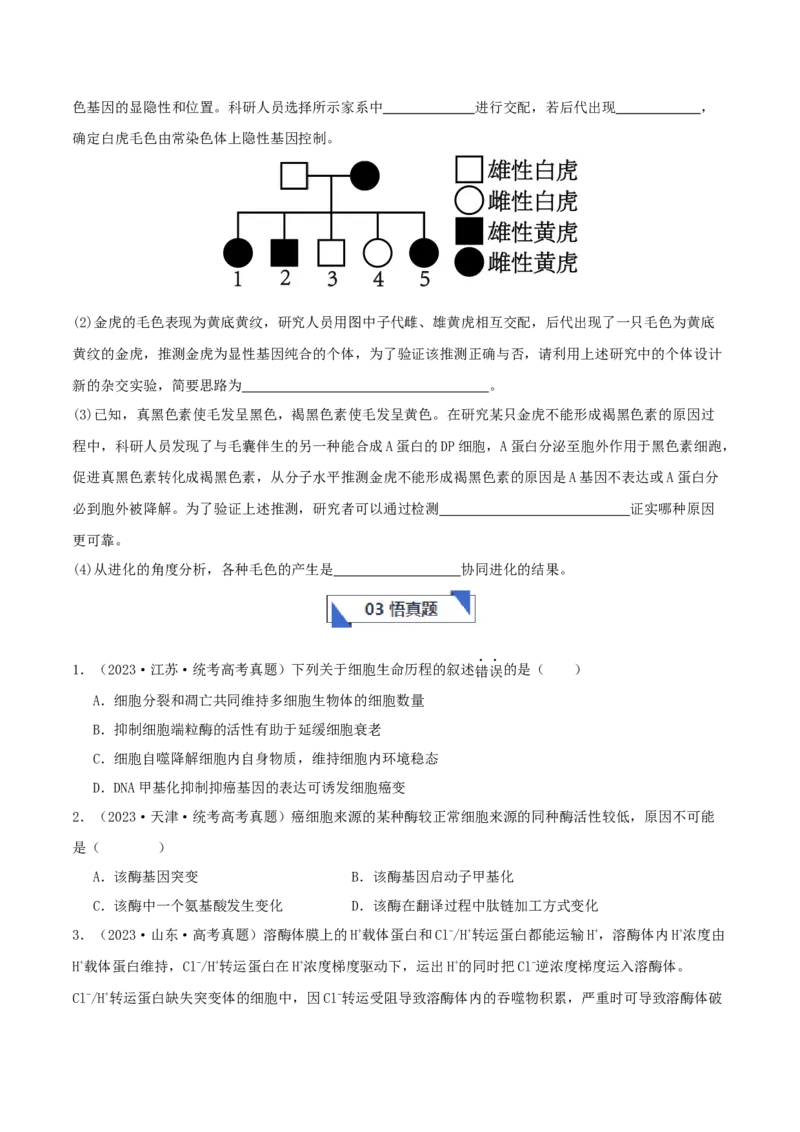 专题综合练07变异与进化(原卷版)_新高考复习资料_2024年新高考复习资料_一轮复习资料_完备战2024年高考生物一轮复习考点帮（新高考）_必修2