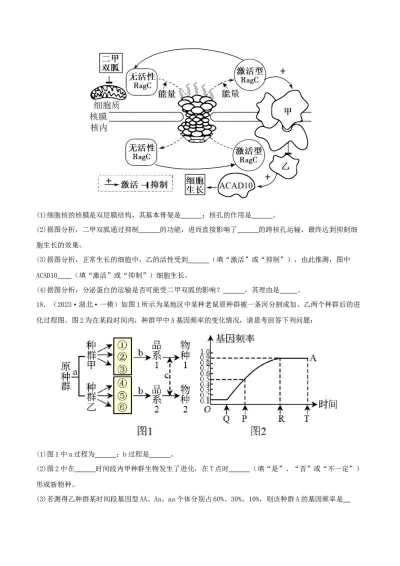 专题综合练07变异与进化(原卷版)_新高考复习资料_2024年新高考复习资料_一轮复习资料_完备战2024年高考生物一轮复习考点帮（新高考）_必修2