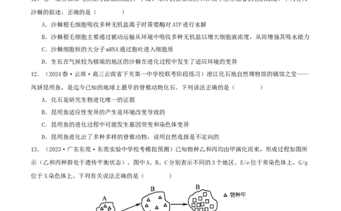 专题综合练07变异与进化(原卷版)_新高考复习资料_2024年新高考复习资料_一轮复习资料_完备战2024年高考生物一轮复习考点帮（新高考）_必修2