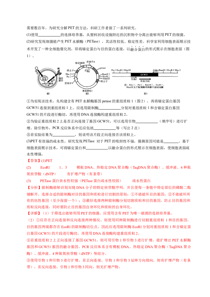 信息必刷卷01（新高考通用）解析版_2025年新高考资料_2025考前信息卷_2025年高考生物考前信息必刷卷（新高考通用）3443035