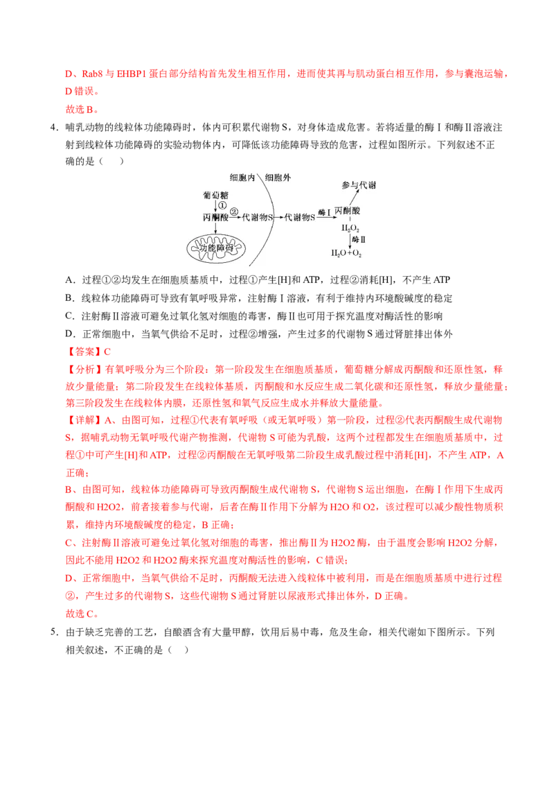 信息必刷卷01（新高考通用）解析版_2025年新高考资料_2025考前信息卷_2025年高考生物考前信息必刷卷（新高考通用）3443035
