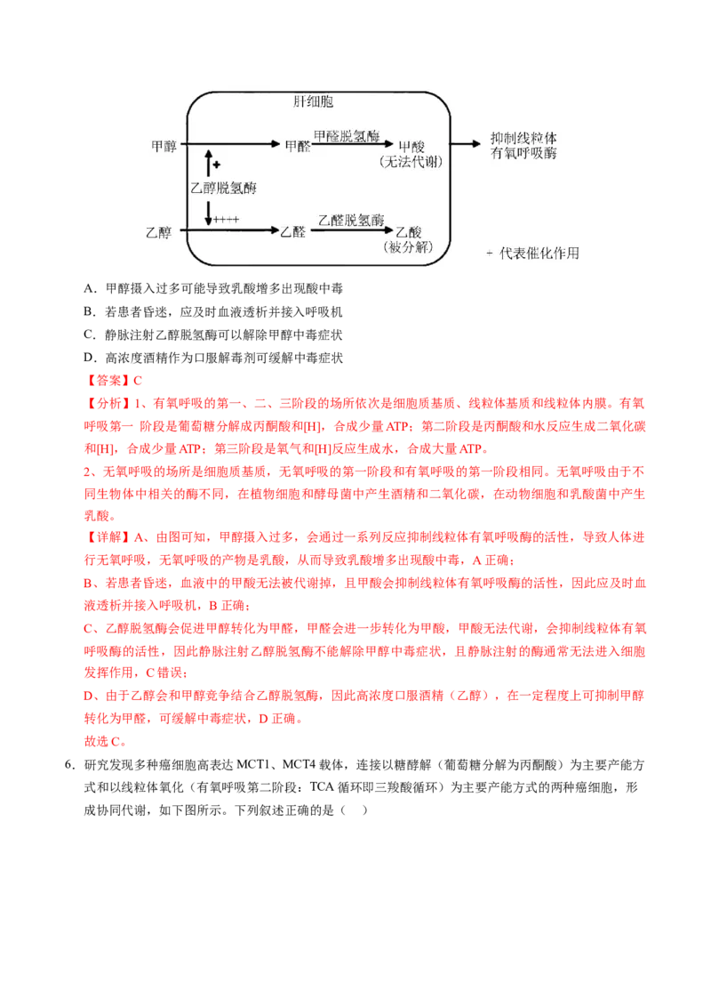 信息必刷卷01（新高考通用）解析版_2025年新高考资料_2025考前信息卷_2025年高考生物考前信息必刷卷（新高考通用）3443035