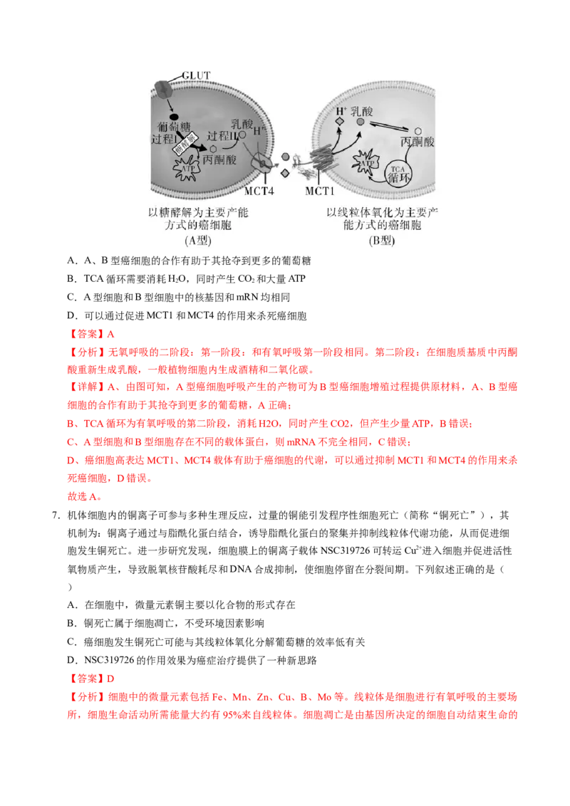 信息必刷卷01（新高考通用）解析版_2025年新高考资料_2025考前信息卷_2025年高考生物考前信息必刷卷（新高考通用）3443035