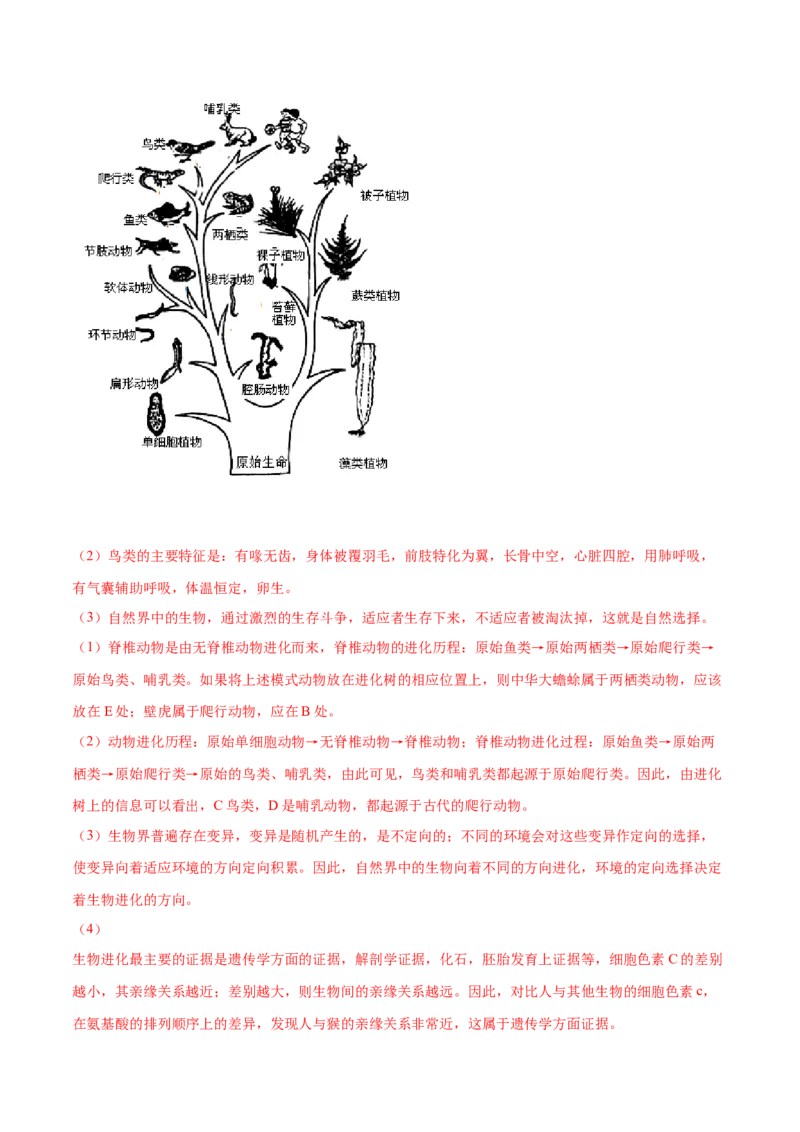 期末测试（A卷&middot;夯实基础）（解析版）_初中全科电子版试卷练习试题_生物_生物8下练习_人教生物8年级下期末试卷12份