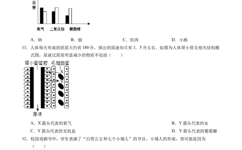 生物（深圳卷）（考试版A4）_初中全科电子版试卷练习试题_生物_2024中考模拟题生物(1)_二模_生物（深圳卷）-：2024年中考第二次模拟考试