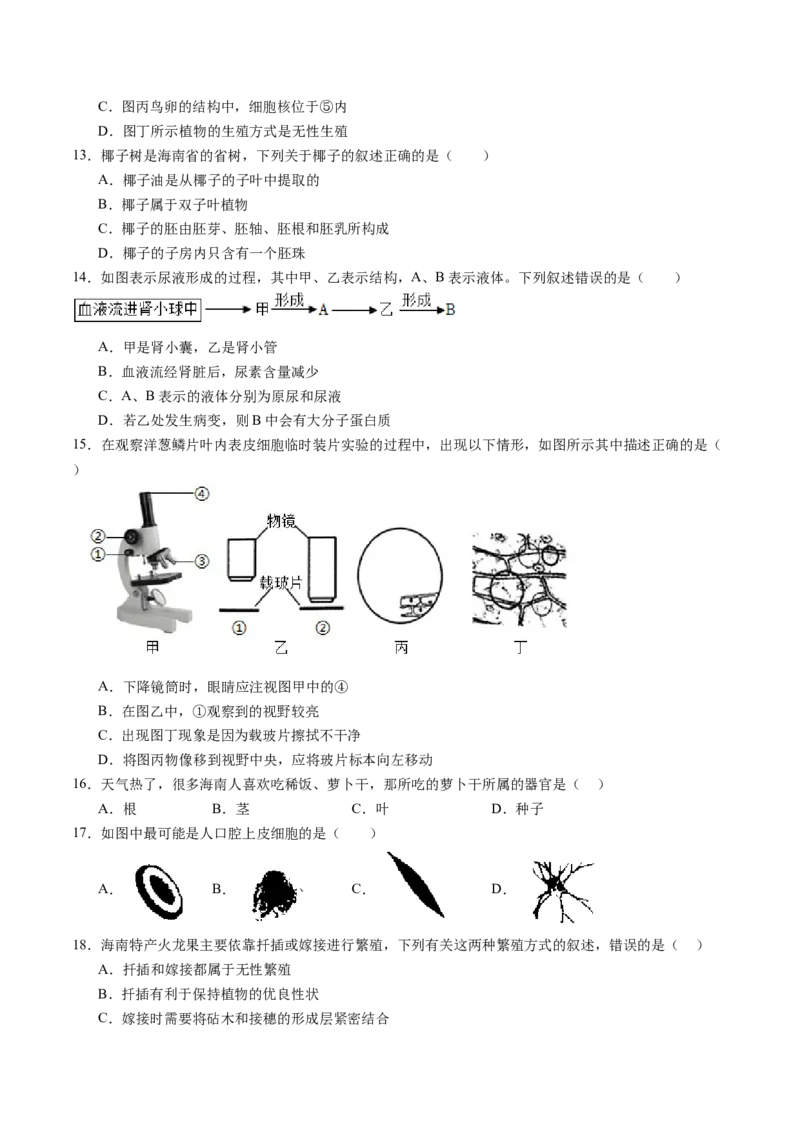 生物（海南卷）（考试版A4）_初中全科电子版试卷练习试题_生物_2024中考模拟题生物(1)_一模_生物（海南卷）-2024年中考第一次模拟考试