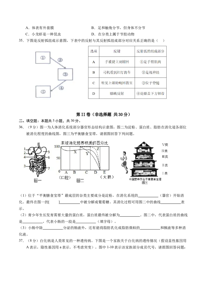 生物（海南卷）（考试版A4）_初中全科电子版试卷练习试题_生物_2024中考模拟题生物(1)_一模_生物（海南卷）-2024年中考第一次模拟考试