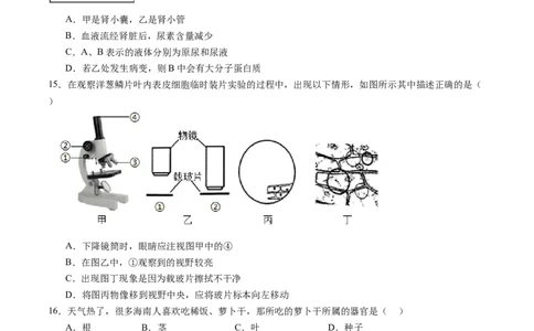 生物（海南卷）（考试版A4）_初中全科电子版试卷练习试题_生物_2024中考模拟题生物(1)_一模_生物（海南卷）-2024年中考第一次模拟考试