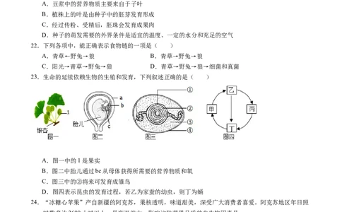 生物（海南卷）（考试版A4）_初中全科电子版试卷练习试题_生物_2024中考模拟题生物(1)_一模_生物（海南卷）-2024年中考第一次模拟考试