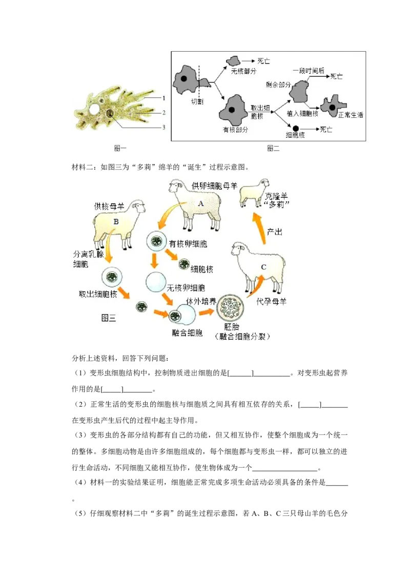 期末综合测试卷-（人教版）（解析版）_初中全科电子版试卷练习试题_生物_生物人教版7上练习&mdash;24新版已更新_人教生物7年级上期末试卷11份