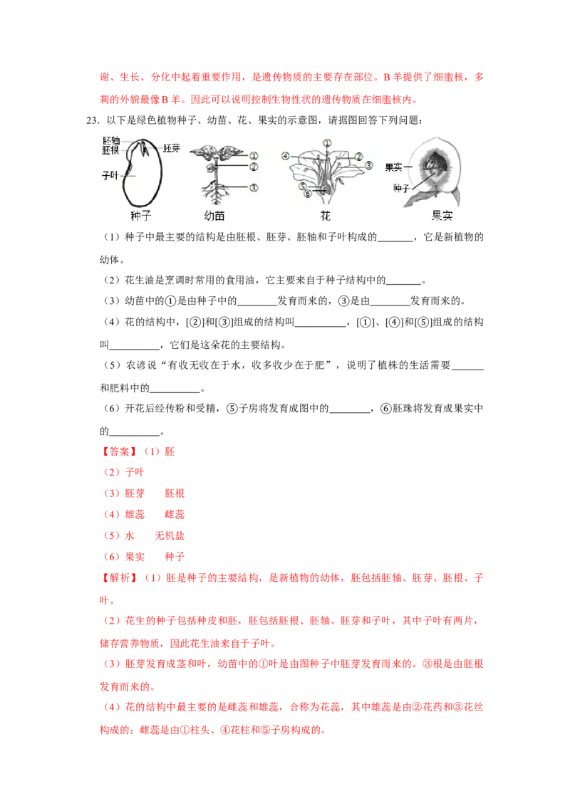 期末综合测试卷-（人教版）（解析版）_初中全科电子版试卷练习试题_生物_生物人教版7上练习&mdash;24新版已更新_人教生物7年级上期末试卷11份