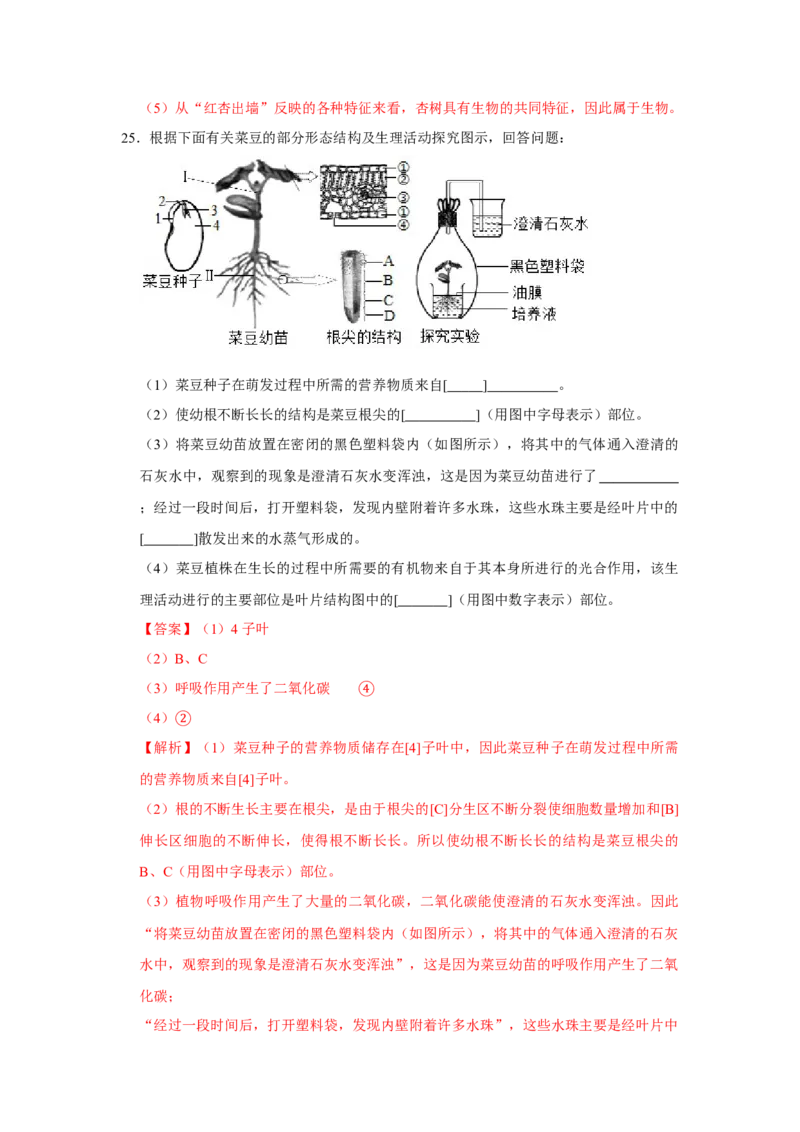 期末综合测试卷-（人教版）（解析版）_初中全科电子版试卷练习试题_生物_生物人教版7上练习&mdash;24新版已更新_人教生物7年级上期末试卷11份