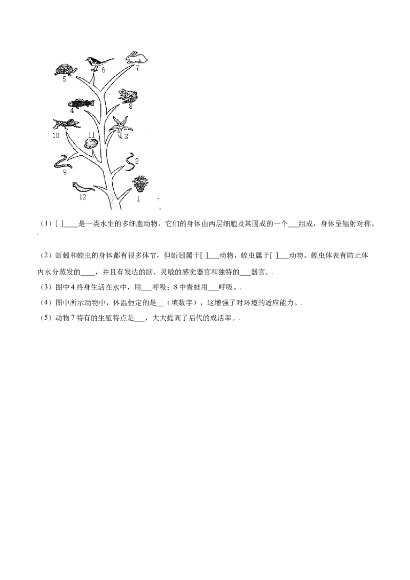 第05单元第01章动物的主要类群测试（B卷&middot;提升能力）（原卷版）_初中全科电子版试卷练习试题_生物_生物8上练习_人教生物8年级上单元试卷48份