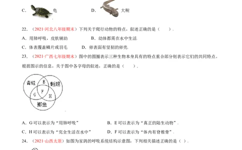 第05单元第01章动物的主要类群测试（B卷&middot;提升能力）（原卷版）_初中全科电子版试卷练习试题_生物_生物8上练习_人教生物8年级上单元试卷48份
